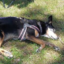 Une bonne petite sieste !