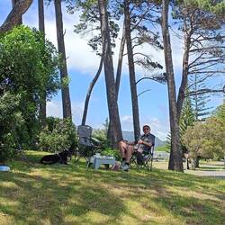 Déjeuner sous les arbres à l'abri 😉