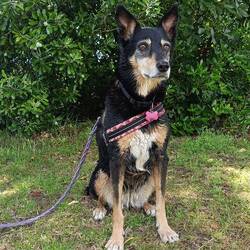 Gaïa qui cherche son père !!