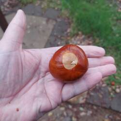 Die waren alle so groß.