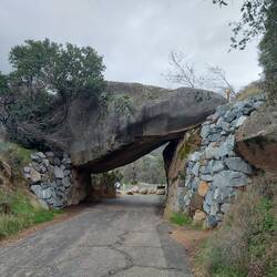 Der Blaue hätte durchgepaßt.