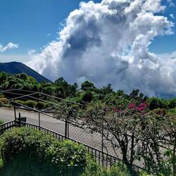 Im Hintergrund der Vulkan Izalco