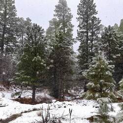Beim überqueren des Buffalo Passes bei 2.600 Metern schneit es