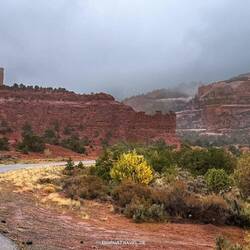 Eine Stunde vor dem Ziel erwischt uns Schneeregen