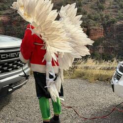 Die "gelben Engel" haben hier tatsächlich Flügel 😉