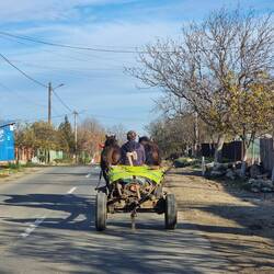 Gar kein seltenes Bild.