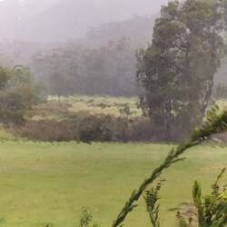 Wat een weer! Een heel ander uitzicht dan gisteren