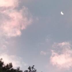 Het wordt al weer avond