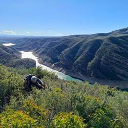 Hors piste dans les "mini forêts" de romarins, il faut enjamber, forcer le passage...