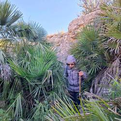 En mode explorateurs pour aller voir la grotte 😂