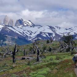... und immer im Blick: die Torres
