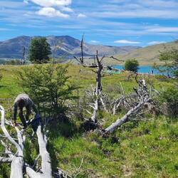 Manchmal muss Mann krabbeln.