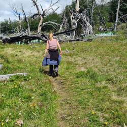 Zwiebellook - ausgezogener Zustand