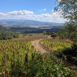 Heut gibt's immer wieder schöne Ausblicke