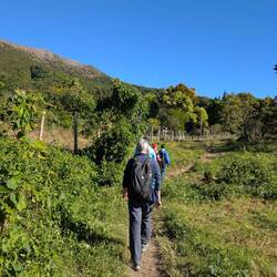 Auf geht's zum Vulkan Santa Ana