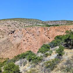 Steilwand - Brutplatz für Rosenpapageien