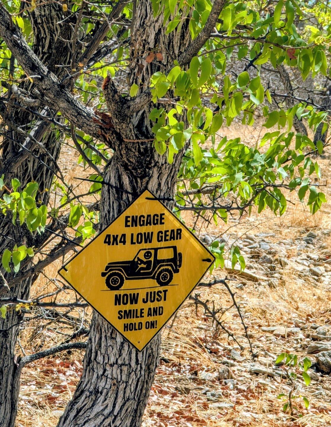 Die Zufahrt war schon spannend!