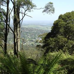 Was it worth it for the view?