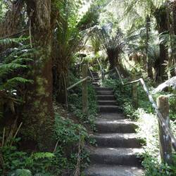 Brad took lots of photos of steps to show what I was missing out on