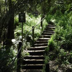 I'm glad I didn't do it!