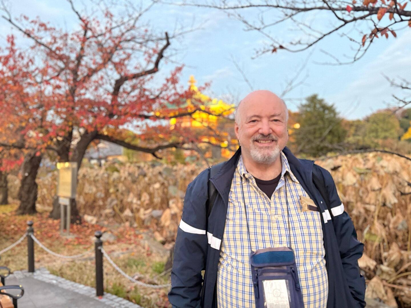 Park with golden ginko-tree leaves in Ibaraki
