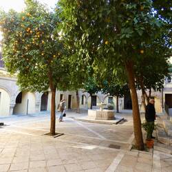 Patio de los Naranjos, part of ablution courtyard from the mosque