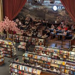 Im El Ateneo - Buchladen