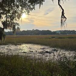 Die Plantage liegt an einem Fluss
