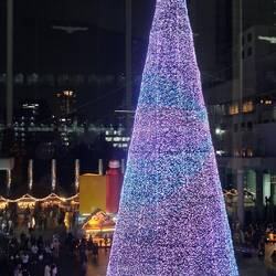 Wie hoch der Lichterbaum wohl ist - 30, 40 Meter?