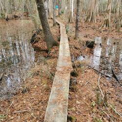 Die abenteuerlichste Stelle der Wanderung, die Überquerung dieses Wässerchens.