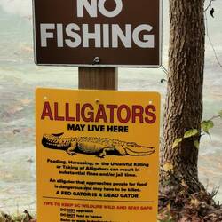 Gesehen haben wir keine, aber sie haben unter Wasser gelauert ob einer von uns reinfällt...