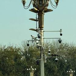 Allgegenwärtig! Überall! Auf der Mauer auf der Lauer. Jeder menschliche Winkel wird beobachtet.