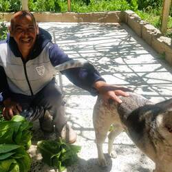 First pet: Awais is really scared of Rex...