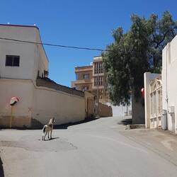 Outside of our paradise