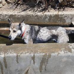 ...and his daily bath