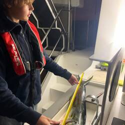 Eine Goldmakrele hat angebissen