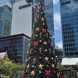 Happy Christmas in Brisbane