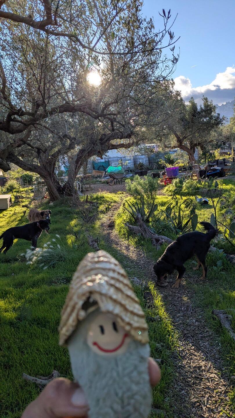 Bauernhof unter Oliven