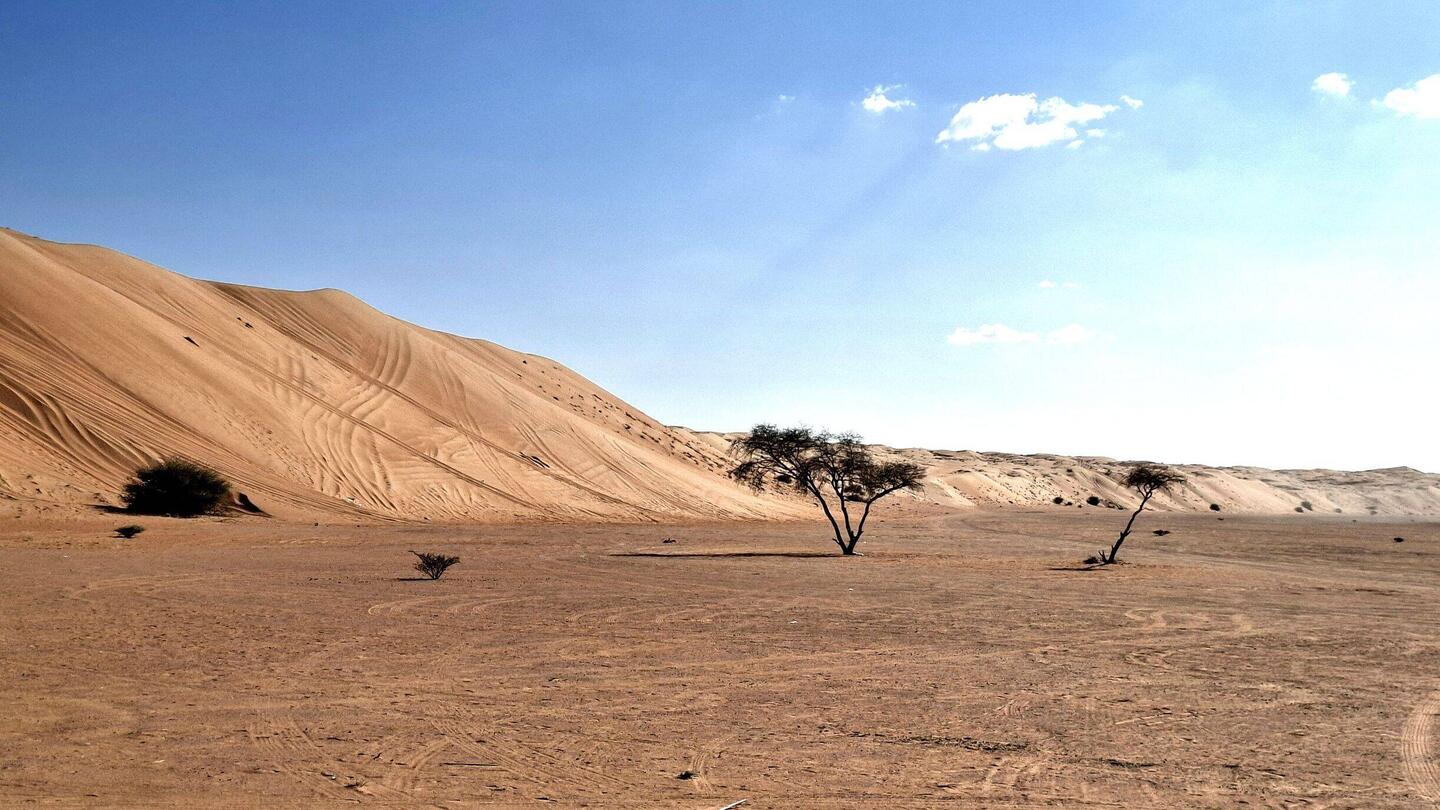 Die Gegend ums Camp herum.