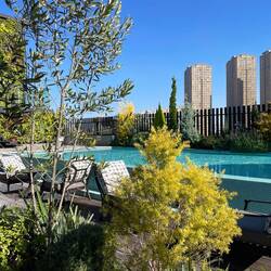 Pool, für mich zu frisch, obwohl beheizt😇