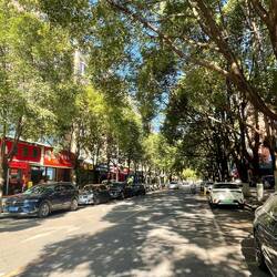 Egal in welcher Stadt in China es grünt immer🫶🏻