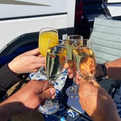 Happy Thanksgiving 🦃🍽