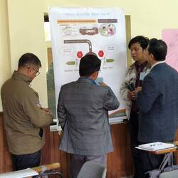 Studying the Growth Cycle