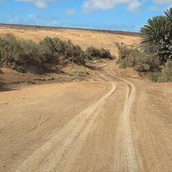 Sand track into the dunes