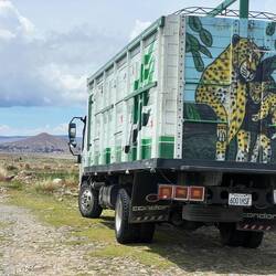 The lorries are often beautifully decorated
