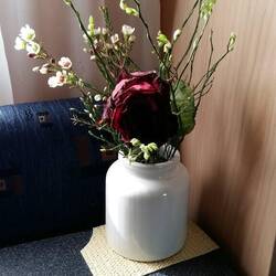 unsere Rose, welche seit dem Start dabei ist, hat nun ihr Lebensende erreicht