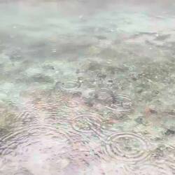 ..ob Regen oder Sonnenschein hier ist es immer fein 👌🏻🤣