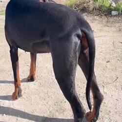 ..es gibt einige Badestellen dem Fluß entlang..