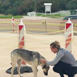 Sie ist so eine sanftmütige liebe Hündin ☺️