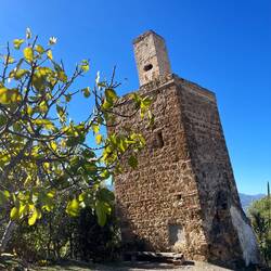 The minaret of Pisa...euh The village of Talambote